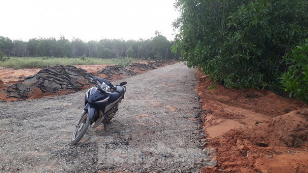 Dân tự ý làm đường nhựa trên đất nông nghiệp để phân lô bán nền ở Phan Thiết - Ảnh 1.