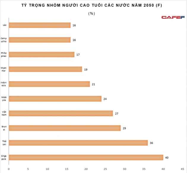 Đằng sau dự báo khoảng 16 triệu người Việt Nam sẽ không có lương hưu vào năm 2030 - Ảnh 4.