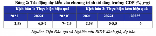 Đánh giá tác động của Chương trình phục hồi, phát triển kinh tế - xã hội giai đoạn 2022-2023 - Ảnh 2.