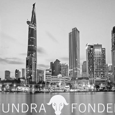 Danh mục Tundra Vietnam Fund giảm sâu trong tháng 1 bởi ảnh hưởng Corona, quy mô chỉ còn dưới 40 triệu USD