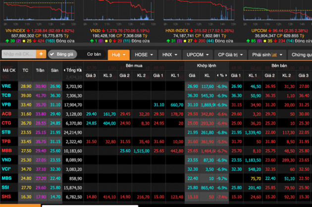 Đánh rơi 63 điểm, vốn hoá HOSE bốc hơi 10,8 tỷ USD: Điều gì đang xảy ra với chứng khoán Việt? - Ảnh 1.