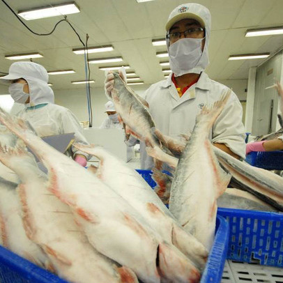 Đánh thức giá trị thật về thị trường xuất khẩu thủy sản