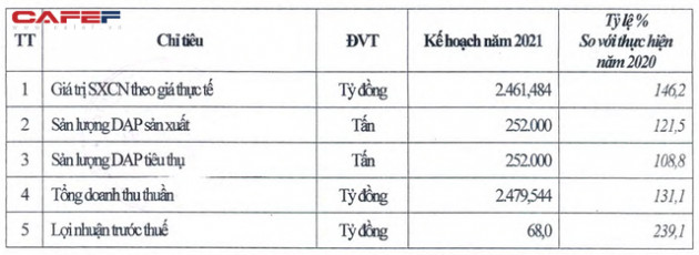 DAP Vinachem đặt kế hoạch lãi 68 tỷ đồng năm 2021 - Ảnh 2.