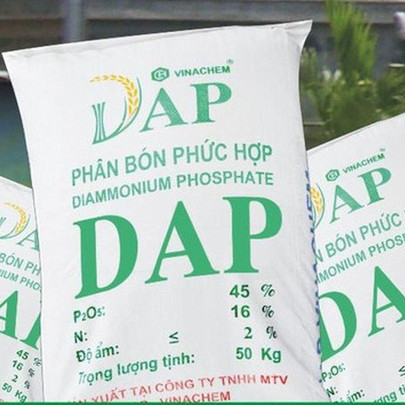 DAP – VINACHEM (DDV): Quý 4 lãi 56 tỷ đồng cao gấp 16 lần cùng kỳ