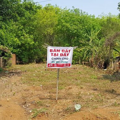 Đất đai tăng nóng, chuyên gia giúp nhà đầu tư phân biệt đâu là tăng thực đâu là tăng ảo