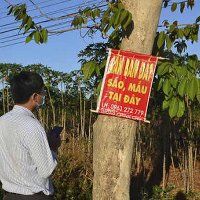 Đất hạ nhiệt, dịch Covid-19 bùng phát, giá bất động sản sẽ thế nào?