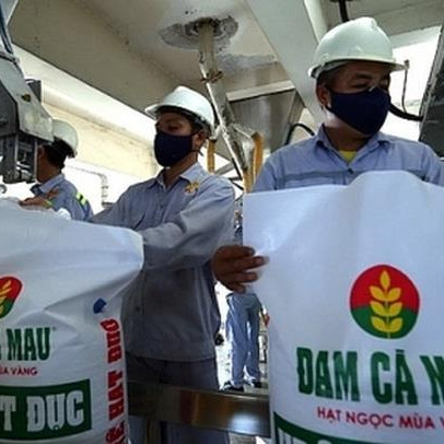 Đạt kỷ lục mới, Đạm Cà Mau (DCM) lãi gần 4.300 tỷ đồng trong năm 2022, gấp 2,3 lần cùng kỳ, cao hơn tổng lợi nhuận của cả 5 năm trước