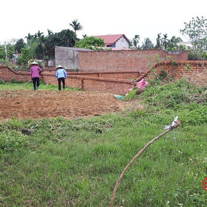 Đất nền lặng sóng, nhà vườn, trang trại giá rẻ 'lên hương'