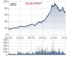 Đạt Phương (DPG) báo lãi sau thuế năm 2021 tăng gấp đôi cùng kỳ lên 450 tỷ đồng, vượt 22% kế hoạch - Ảnh 3.
