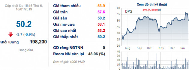 Đạt Phương (DPG): Chỉ hoàn thành 66% kế hoạch lợi nhuận, Chủ tịch dùng bất động sản cá nhân bảo lãnh khoản vay ngân hàng - Ảnh 3.