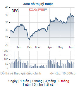 Đạt Phương (DPG) triển khai phương án phát hành 18 triệu cổ phiếu thưởng, tỷ lệ 40% - Ảnh 2.