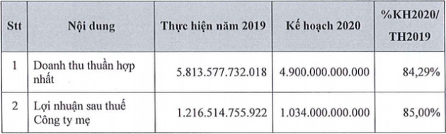 Đất Xanh (DXG): Đặt chỉ tiêu lãi 2020 giảm về 1.034 tỷ đồng, tiếp tục tăng vốn cho Bất động sản Hà An - Ảnh 1.