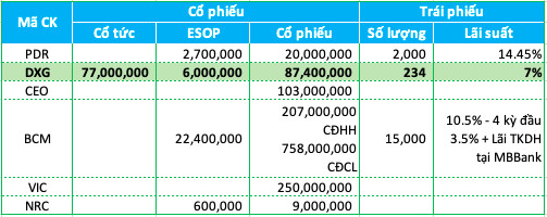 Đất Xanh (DXG): Tăng trưởng nóng, lãi lớn nhưng dòng tiền liên tục âm - Ảnh 1.