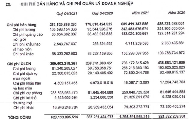 Đất Xanh Services (DXS): Gia tăng chi phí quảng cáo và dự phòng, LNTT cả năm giảm 17% về 1.200 tỷ đồng - Ảnh 3.