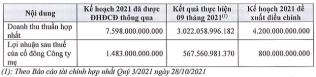 Đất Xanh Services (DXS) xin ý kiến cổ đông điều chỉnh giảm kế hoạch kinh doanh năm 2021 - Ảnh 1.