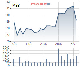 DATC muốn bán hết cổ phiếu MSB - Ảnh 1.