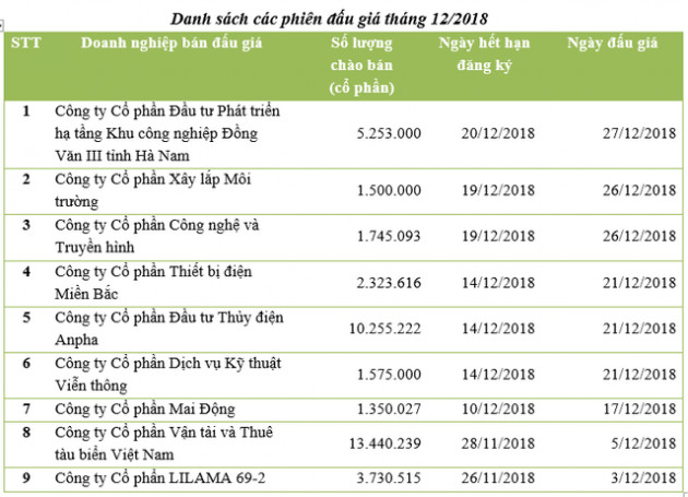 Đấu giá cổ phần tháng 11 thành công rực rỡ - Ảnh 2.