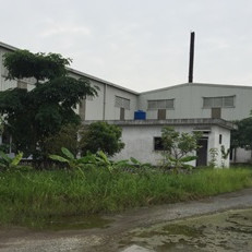 Đấu giá tài sản của Công ty CP T&T tại Bắc Ninh