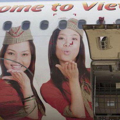 Dấu hỏi lớn về tương lai liên doanh AirAsia Việt Nam: 3 lần gia nhập đều thất bại, đến lần thứ 4 phải đối đầu Vietjet - ‘bản sao’ từng copy mô hình của mình và đang thành công rực rỡ