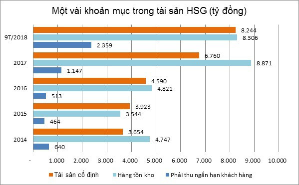 Dấu hỏi về khoản nợ vay 15.880 tỷ của Hoa Sen - Ảnh 3.