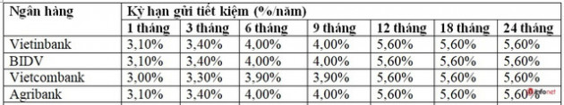 Đầu năm 2021, lãi suất ngân hàng nào cao nhất? - Ảnh 1.