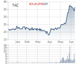 Dầu thực vật Tường An (TAC) ước đạt 84 tỷ LNST nửa đầu năm, tăng 40% so với cùng kỳ - Ảnh 1.