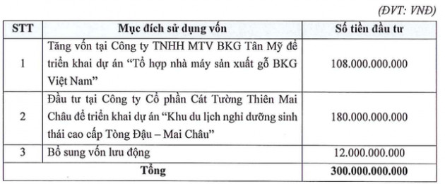 Đầu tư BKG sắp họp ĐHĐCĐ bất thường, trình phương án phát hành riêng lẻ 30 triệu cổ phiếu tăng vốn điều lệ gần gấp đôi - Ảnh 1.