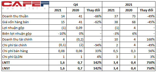 Đầu tư CMC báo lãi vỏn vẹn hơn 3 tỷ đồng trong năm 2021, thị giá từng gây sốc với 11 phiên kịch trần liên tiếp - Ảnh 1.