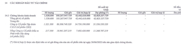  Đầu tư cổ phiếu DIG và CEO, một doanh nghiệp lỗ tới hơn 80% giá trị - Ảnh 3.