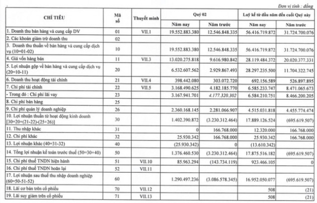 Đầu tư Điện lực 3 (PIC): 6 tháng lãi 17 tỷ đồng vượt 60% kế hoạch - Ảnh 1.