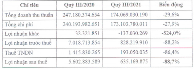 Đầu tư Everland (EVG): Quý 3 lãi chưa đến 1 tỷ đồng, giảm 90% so với cùng kỳ 2020 - Ảnh 1.