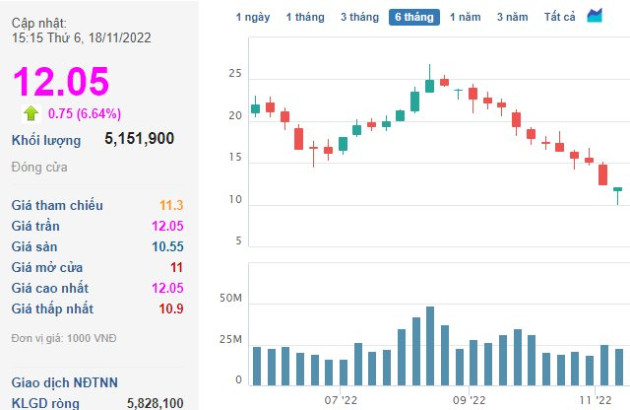 Đầu tư Hạ tầng Kỹ thuật TP.HCM (CII) muốn chia cổ phiếu thưởng tỷ lệ 14% nhưng UBCK không chấp thuận - Ảnh 1.