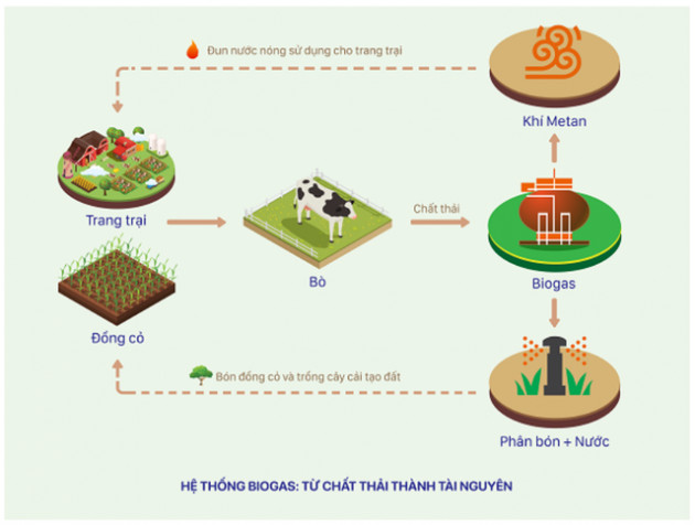 Đầu tư hệ thống điện mặt trời tại toàn bộ các trang trại, Vinamilk đẩy mạnh năng lượng bền vững - Ảnh 4.