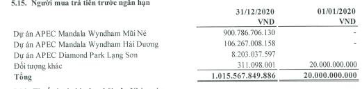 Đầu tư IDJ Việt Nam báo lãi quý 4/2020 cao gấp 4 lần cùng kỳ - Ảnh 3.