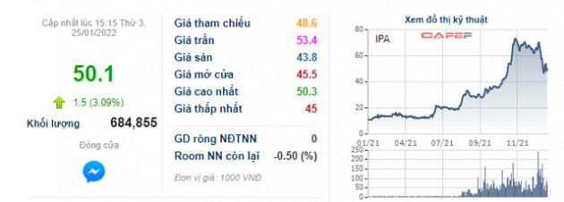 Đầu tư IPA: Công ty mẹ báo lãi 1.025 tỷ đồng cả năm 2021, tăng gấp 29 lần so với cùng kỳ - Ảnh 2.