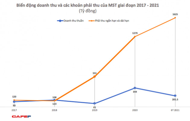 Đầu tư MST: 6 tháng lãi 29 tỷ đồng, tăng mạnh so với cùng kỳ 2020 - Ảnh 1.