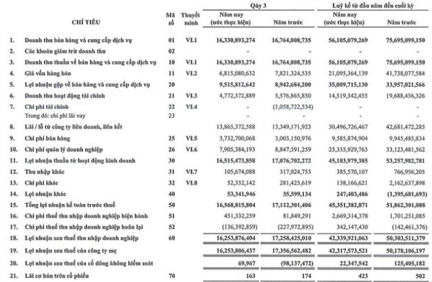 Đầu tư Phát triển Sài Gòn Co.op (SID): LNTT 9 tháng giảm 16% xuống 45,4 tỷ đồng - Ảnh 1.