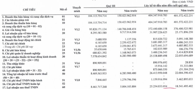 Đầu tư sản xuất và thương mại HCD báo lãi tăng trưởng 36% sau 9 tháng - Ảnh 1.