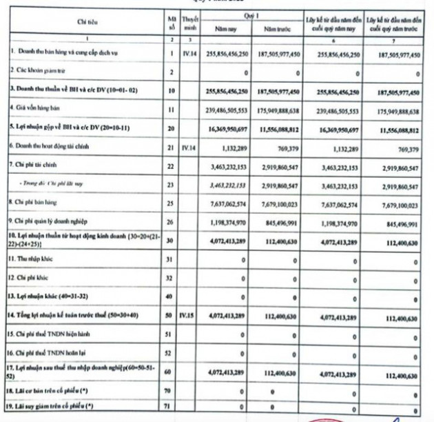 Đầu tư TDG Global (TDG): Quý 1/2022 lãi 4 tỷ đồng tăng mạnh so với cùng kỳ - Ảnh 1.