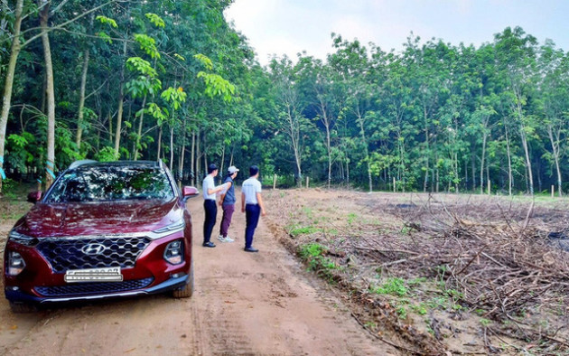 Đầu tư theo đám đông, nhiều nhà đầu tư F0 tiến thoái lưỡng nan, cay đắng cắt lỗ - Ảnh 1.