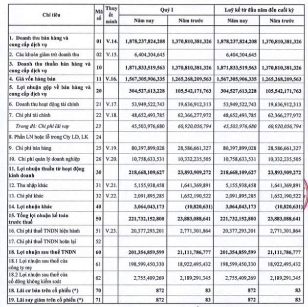 Đầu tư và Phát triển Đa quốc gia I.D.I (IDI): Nhờ cá tra, quý 1 lãi 201 tỷ đồng cao gấp 10 lần cùng kỳ - Ảnh 1.