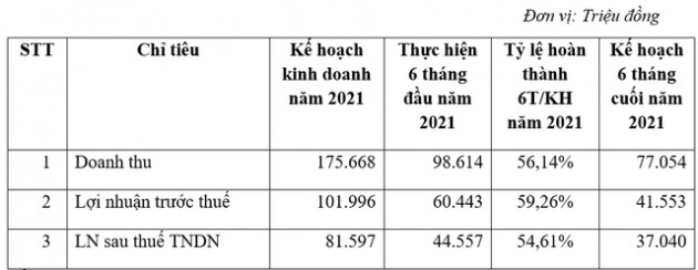 Đầu tư và Phát triển điện Tây Bắc (NED) đẩy mạnh phát triển dự án BĐS khu công nghiệp, ước lãi gần 45 tỷ đồng trong 6 tháng đầu năm 2021 - Ảnh 1.