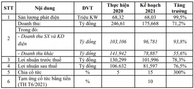 Đầu tư và Phát triển điện Tây Bắc (NED) tạm ứng cổ tức bằng tiền năm 2021 với tỷ lệ 10%, mở rộng lĩnh vực BĐS và Khu công nghiệp - Ảnh 1.