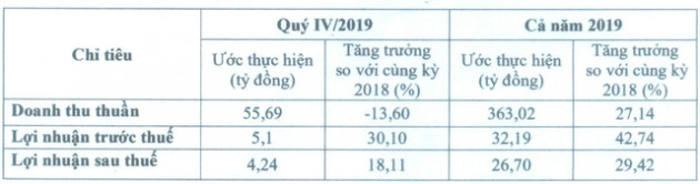 Đầu tư và Phát triển TDT ước lãi tăng trưởng hơn 29% trong năm 2019 - Ảnh 1.