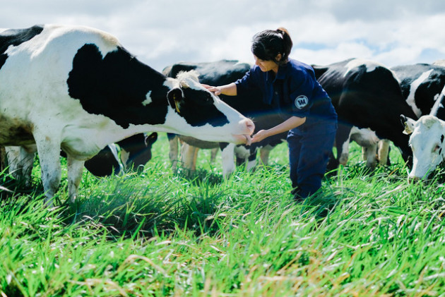 Đây là lý do Đà Lạt được Vinamilk lựa chọn làm nơi xuất phát điểm cho dòng sữa organic - Ảnh 3.