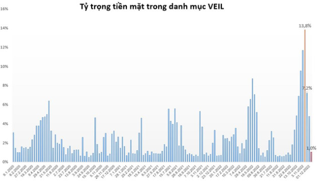 Đẩy mạnh giải ngân, quỹ lớn nhất của Dragon Capital nắm giữ lượng tiền thấp nhất trong 3 tháng - Ảnh 1.