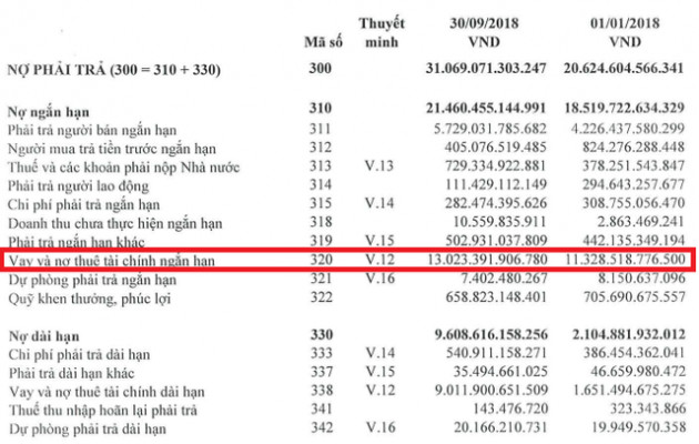 Đẩy nợ lên 44% tổng tài sản, bức tranh màu hồng của vua thép Hoà Phát đang bớt sáng? - Ảnh 1.