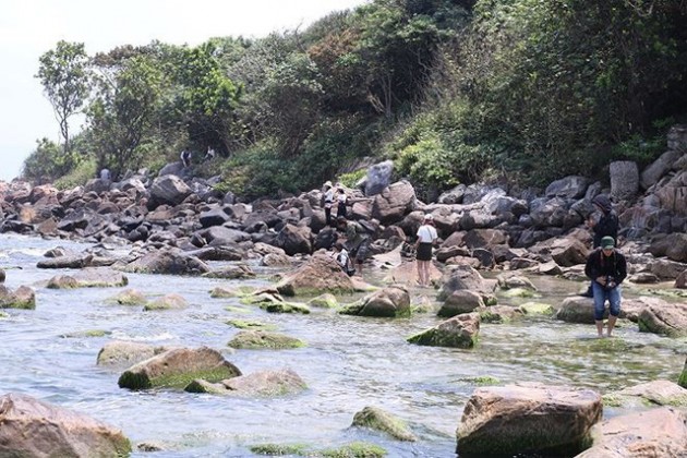 Đề nghị điều chỉnh quy hoạch dự án resort Nam Ô - Ảnh 4.