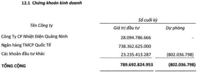 Đem tiền đầu tư chứng khoán, loạt doanh nghiệp “tay ngang” ngậm ngùi ôm lỗ, “tay chơi” mới còn vào ngay đỉnh - Ảnh 7.