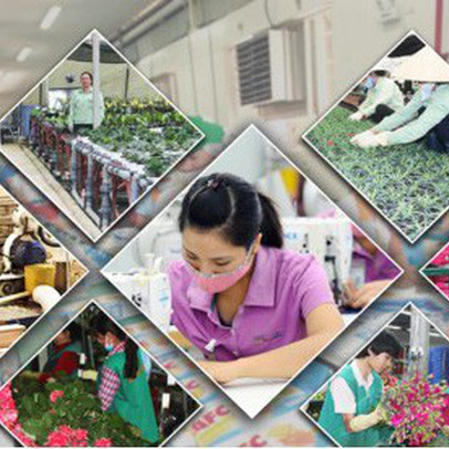 Đến năm 2030, thu nhập người làm nông nghiệp ở Việt Nam tăng 1,5 lần